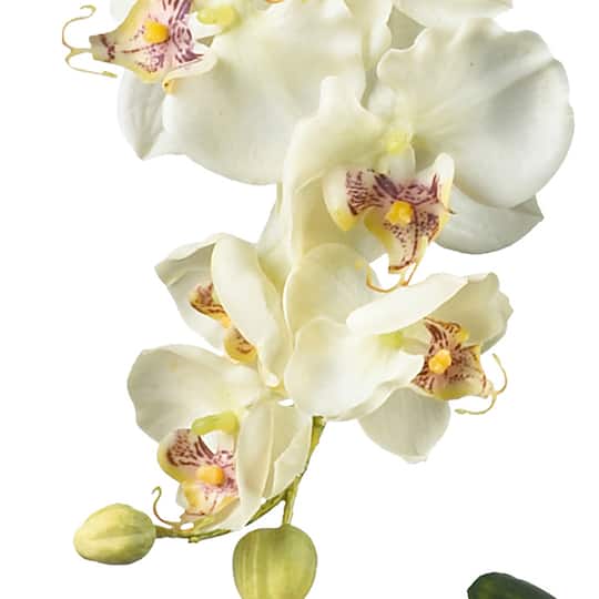18" White Orchid Arrangement in Glass Vase